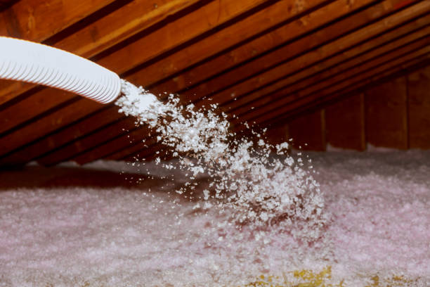 Best Insulation Installation Services in Seffner, FL