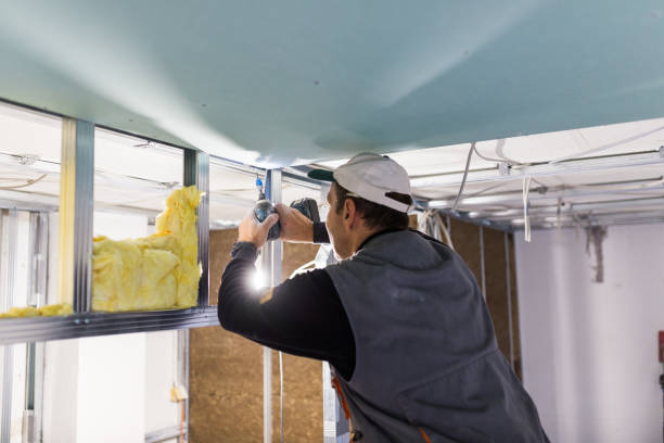 Best Insulation Installation Services in Seffner, FL