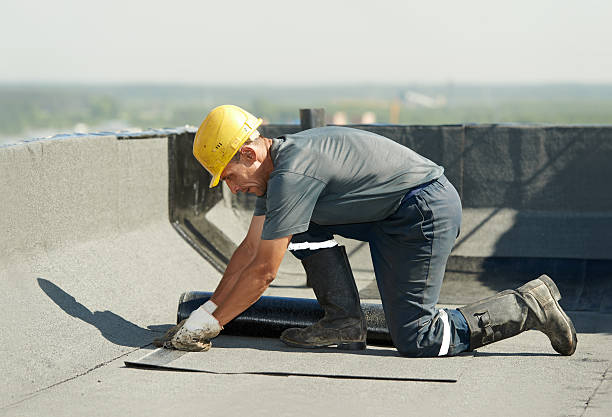 Best Energy Efficiency Solutions in Seffner, FL